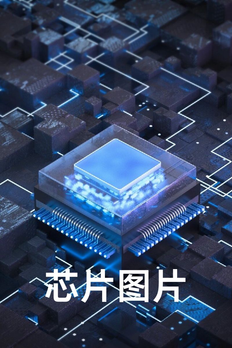 微小芯片，宏伟世界 解析微型电子心脏